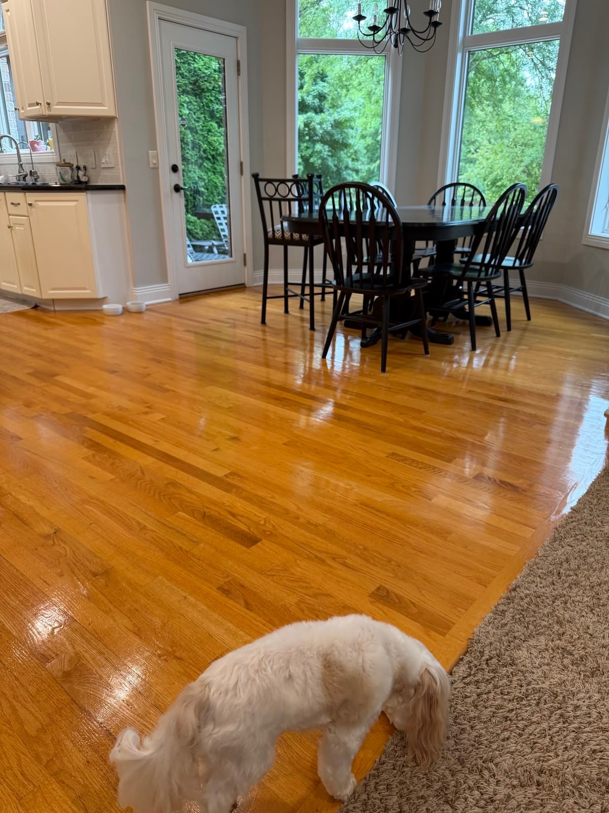 Glossy refinished oak floor in a dining area